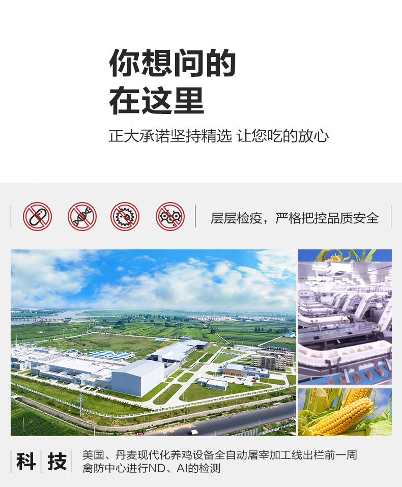 正大 网红黑蒜鸡块 800g*2袋 图8