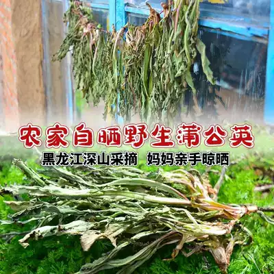 Northeast specialty Heilongjiang wild mountain Dandelion Tea Whole plant with root Mother-in-law Ding Flower Tea Green Tea 250g