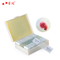 Secondary school biological slide specimen slicing 25 pieces to observe microbial specimen sections under a microscope