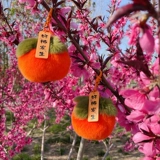 Подвеска, брелок, милое плюшевое креативное украшение на сумку, креативный подарок