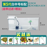 Стандарт 5-го поколения-бай-Zhong № (освобожденная вода) отправить 2 черепах ★ Рекомендуется ★