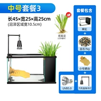 Средний пакет Three (отправка болота Iris)