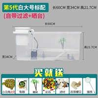 Стандарт Dajian 5-го поколения (освобожденная вода) Отправить 2 черепах ★ Рекомендуется ★