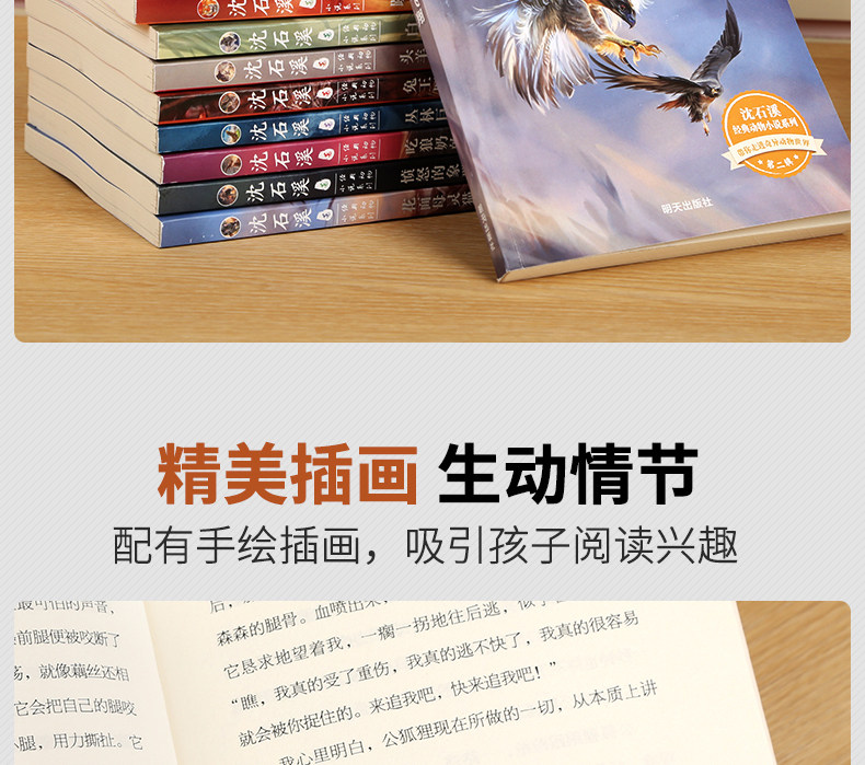 沈石溪动物小说合集 10册 图8