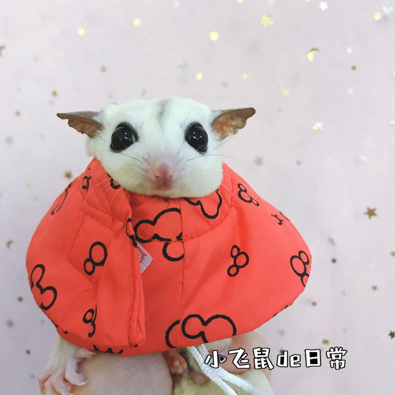 Little pet with Elizabeth circle honey bag hamster golden silk bear head cover anti-licking wound care