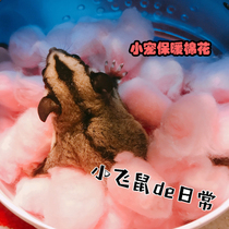 Honey bag glider Hamster squirrel Warm cotton Cotton nest winter supplies Natural cold nest cotton