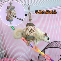 Dont buy very strange apple wood barnacle Honey bag Glider Small pet molar toy Hamster Flower branch Squirrel supplies