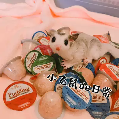 Honey bag goat milk pudding African mini hedgehog snack can be mixed dry food hamster chicken beef wet grain pudding