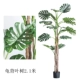 Turtle Back Lobe Tree 2,1 метра