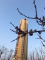 小不点靓妆