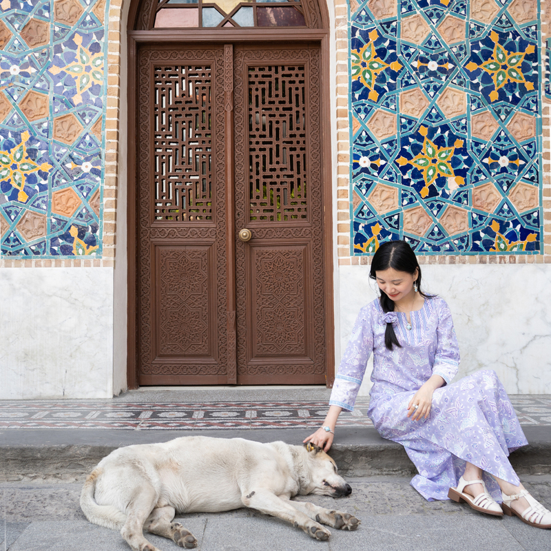 Now {Mysterious Lady's Ancient Bathhouse} Georgia Light Purple Butterfly Nurai Indian Cotton Dress