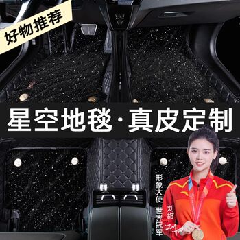 Genuine Leather Full-Coverage Car Floor Mats, Starry Sky Carpet, Specifically for Bmw 5 Series, Audi A4, A6L, Magotan, Accord, Camry