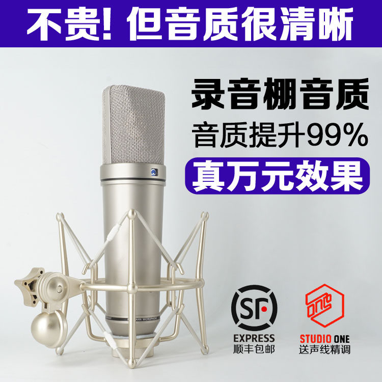 Microphone Newman u87 Professional capacitive anchor Recording shed Divine Instrumental Special K Song Live Device Singing Mic