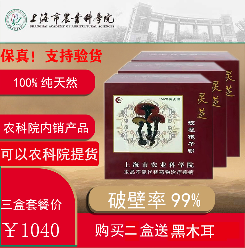 Premium Shanghai Institute of Agronomy internal Basswood Ganoderma lucidum spore powder 100g*3 boxes Imitation wild wall breaking rate 99% fidelity