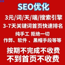 Website keyword ranking whole site seo optimization home page rapid inclusion Baidu 360 search engine whole network promotion