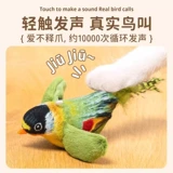 Игрушка, домашний питомец, издает звуки, воробей, кот, избавление от скуки