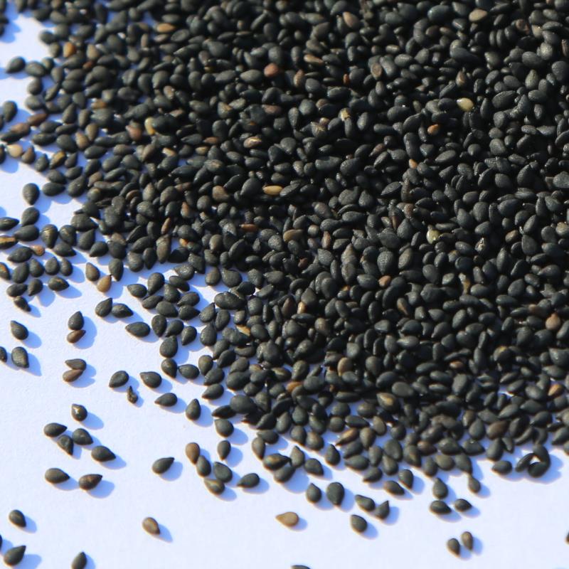 Cooked Black Sesame Northeast Farmhouse Now Fried Cooked Sesame Bulk 500g