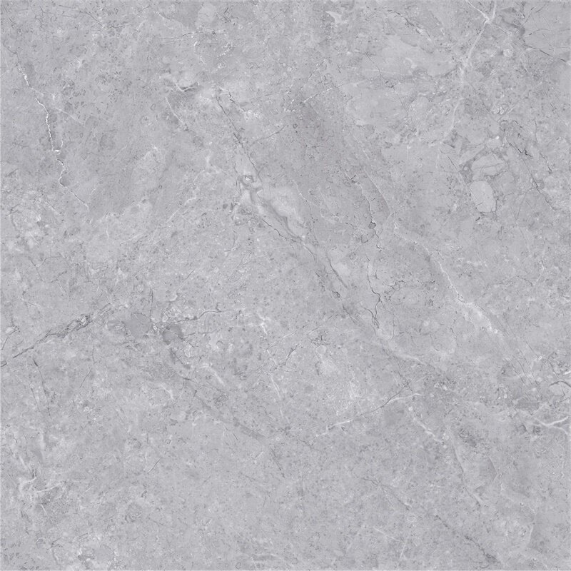 Nobel household economical modern minimalist net red popular casual light luxury wall and floor tiles RS807157