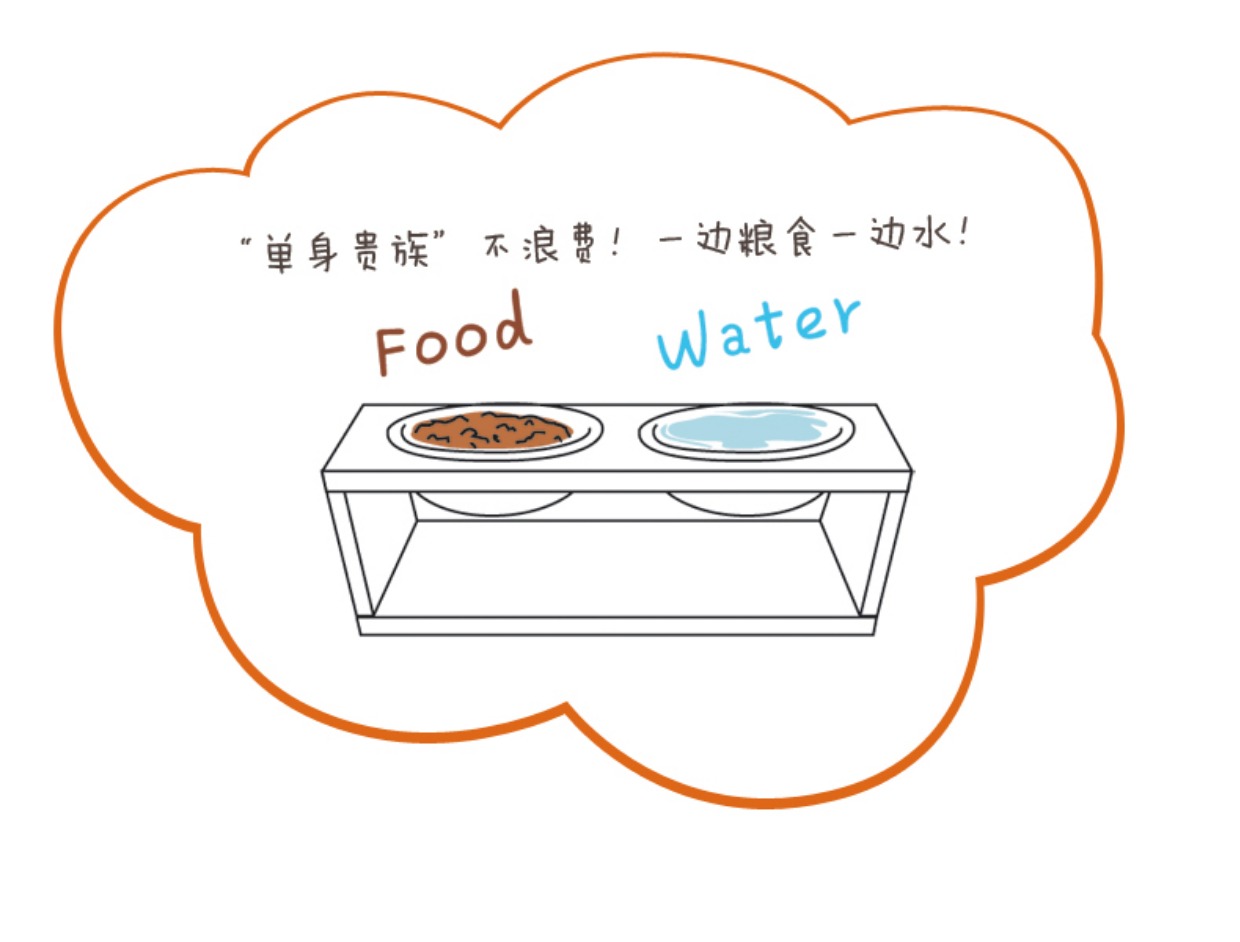 Mèo Tiantian tre mèo bàn mèo bát bát thức ăn mèo bát mèo cung cấp với 2 bát gốm mèo có thể được mua riêng - Cat / Dog hàng ngày Neccessities 	bát thức ăn cho chó	