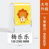 【A3】 Большой модель модели обновления окна. Имя + номер телефона + номер телефона