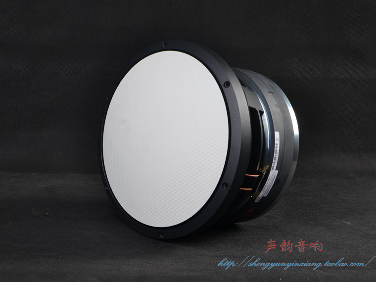 Germany Accuton Aikaton AS250-8-552 aluminum honeycomb dome basin 10 inch woofer 16900 pair