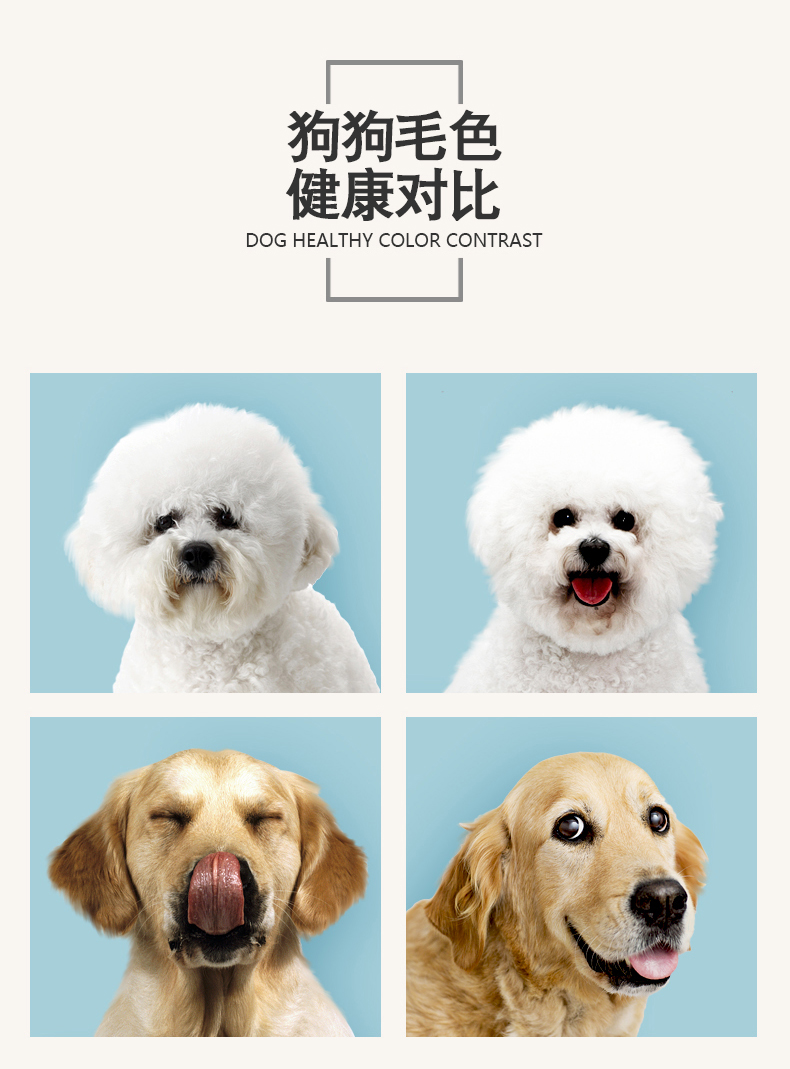 Hua thú cưng tự nhiên thức ăn cho chó Teddy Golden Retriever Husky chó trưởng thành Thức ăn cho chó nhỏ và vừa lớn loại chung 10kg - Chó Staples thức an cho chó bao 20kg