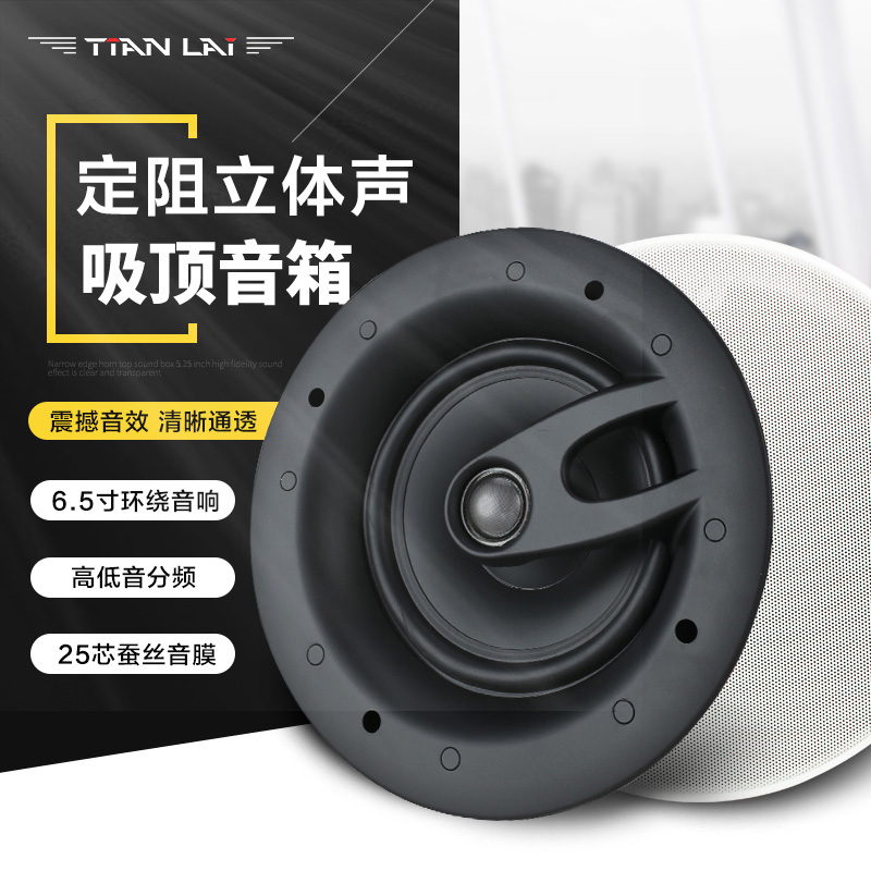 Teana Family Background Music Speaker HIFI Fever Level Fixed Resistance Ceiling Speaker Ceiling Sound JX-602