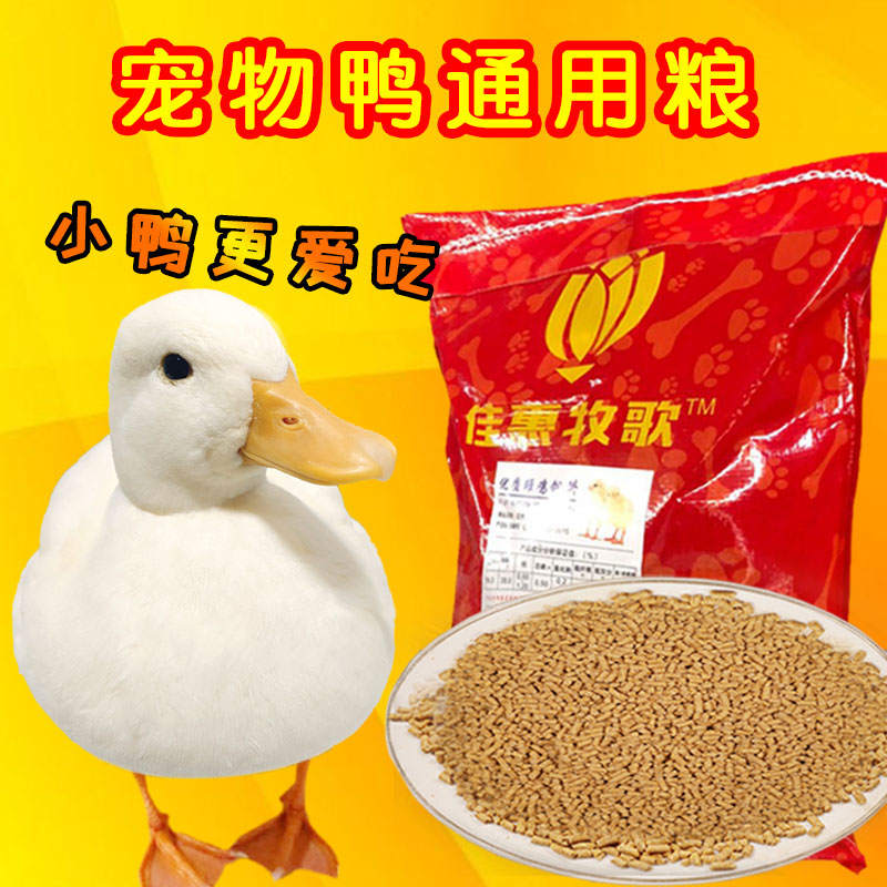 Cole Duck Duck Grain Small Duck Stock Duck Grain Feed Feeding Duck Special Pet Duck Family Cole Duck