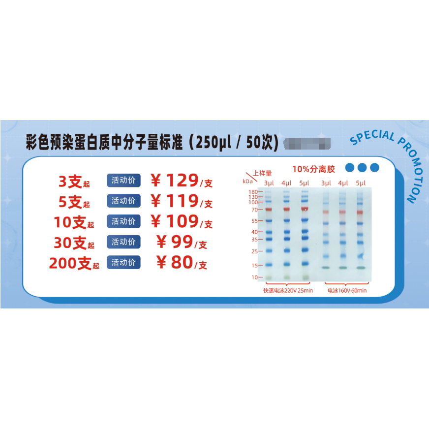 预染蛋白Marker  彩色预染蛋白质标准 SDS-PAGE WB 蛋白电泳