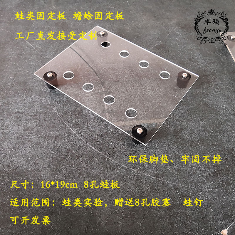 Frog Plate Porous Frog Anatomical Board Toad Anatomic Bench Frog Experimental Plate Frog fixed plate manufacturer direct