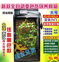 Breeding box pull-out acrylic door chameleon cage lizard reptile box automatic light box full set of equipment