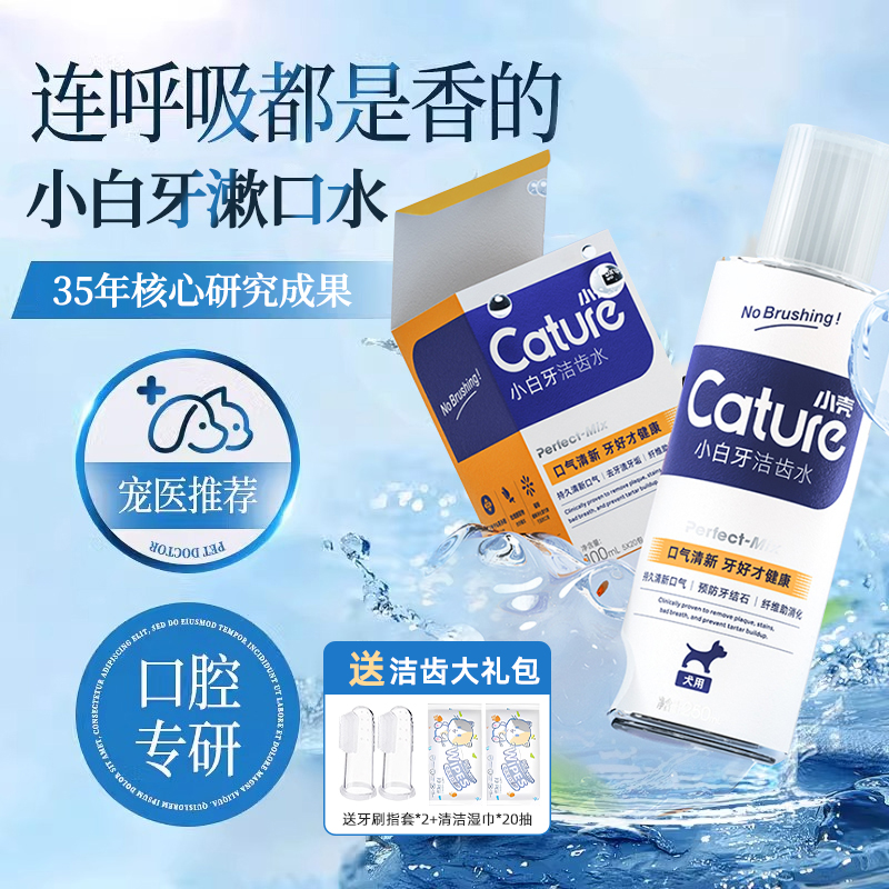 小さな貝殻のペットの歯の洗浄水、食べられる猫犬用消臭石の歯磨き粉、口腔洗浄用品