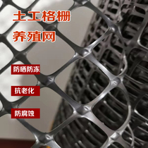  Plastic fence Breeding net Guardrail net Isolation net Chicken net fecal leakage mat Plastic grid Black hard geogrid