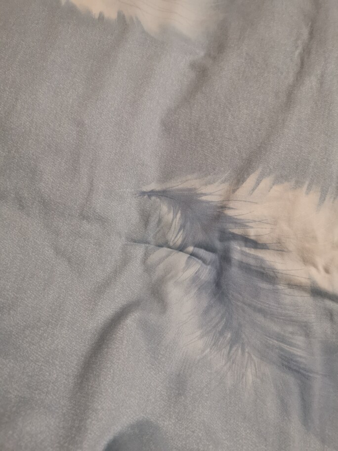 水星家纺全棉磨毛四件套