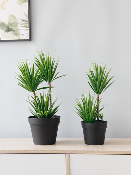 创意室内桌面假花仿真绿植装饰摆件家居茶几植物盆栽仙人掌盆景