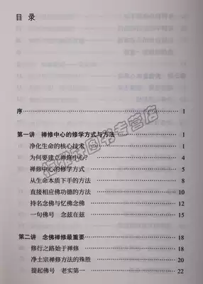 正版大乘禅法十五讲达照法师禅宗心法净土宗天台宗秘法佛教佛学佛经佛书入门初学者修行修身修养结缘书籍哲学和宗教佛教图书