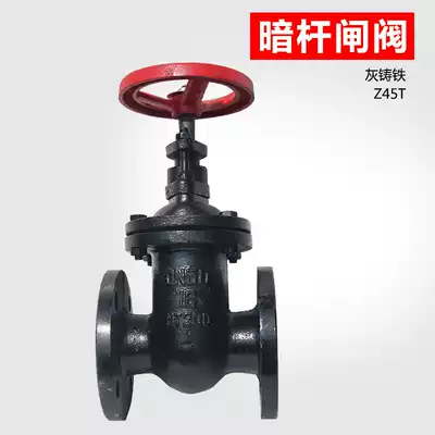 Z45T cast iron dark rod flange gate valve switch Fire tap water valve Sewage valve dn65 80 100