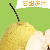 赵州雪花梨生态果园的LOGO