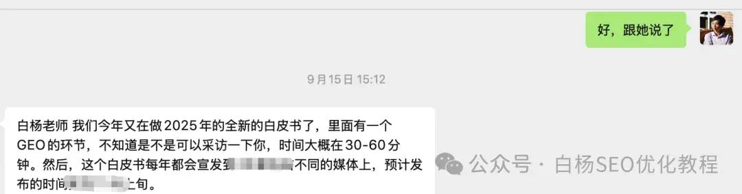 白杨SEO:国外独立站GEO例比什么做。15步能够操作方法分享
