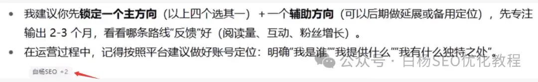 白杨SEO:国外独立站GEO例比什么做。15步能够操作方法分享