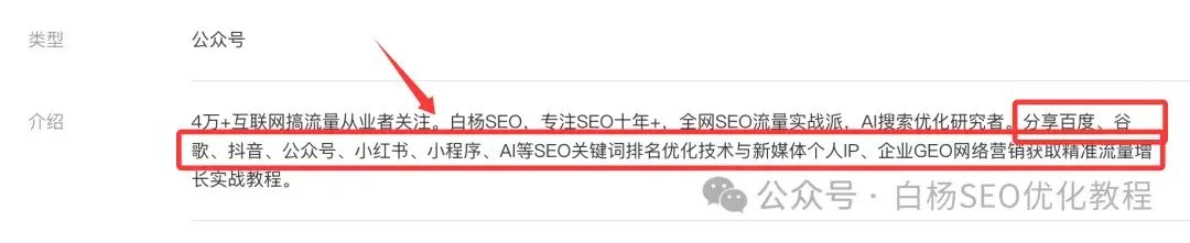 白杨SEO:国外独立站GEO例比什么做。15步能够操作方法分享