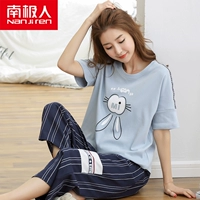 Bộ đồ ngủ cotton ở Nam Cực mùa hè dành cho nữ quần dài tay ngắn phù hợp với sinh viên Hàn Quốc hai mảnh có thể mặc ngoài dịch vụ tại nhà bộ mặc nhà đẹp