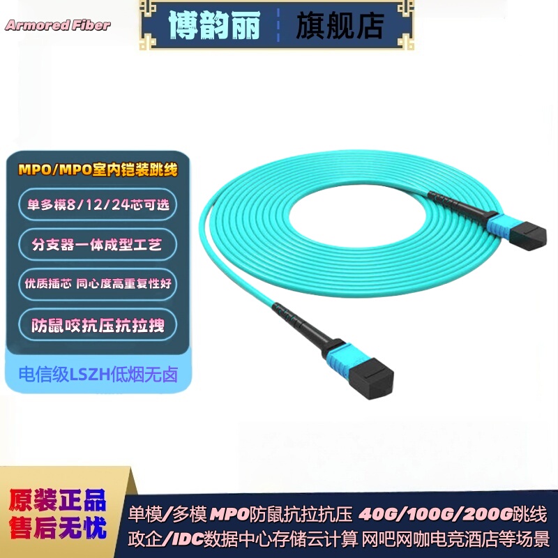 Mpo/Mtp 8/12/24 Core Om3/Om4 40G/100G/200G Armored Fiber Optic Patch Cord for Internet Cafes and Data Centers