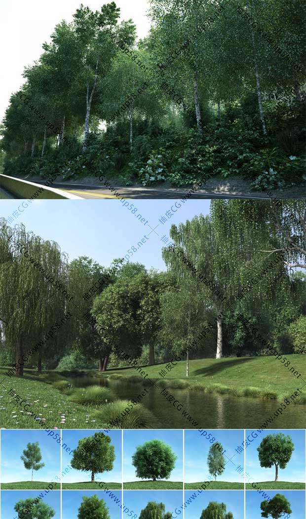 3DSMAX / VRay室外场景设计树木精细3D模型