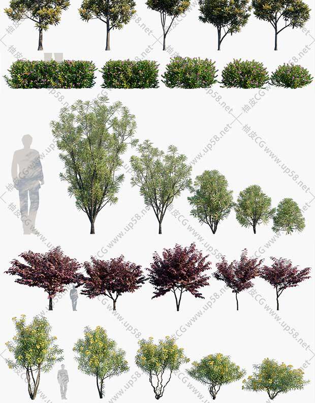 3DSMAX / VRay / Corona园林设计灌木树木植物3D模型素材