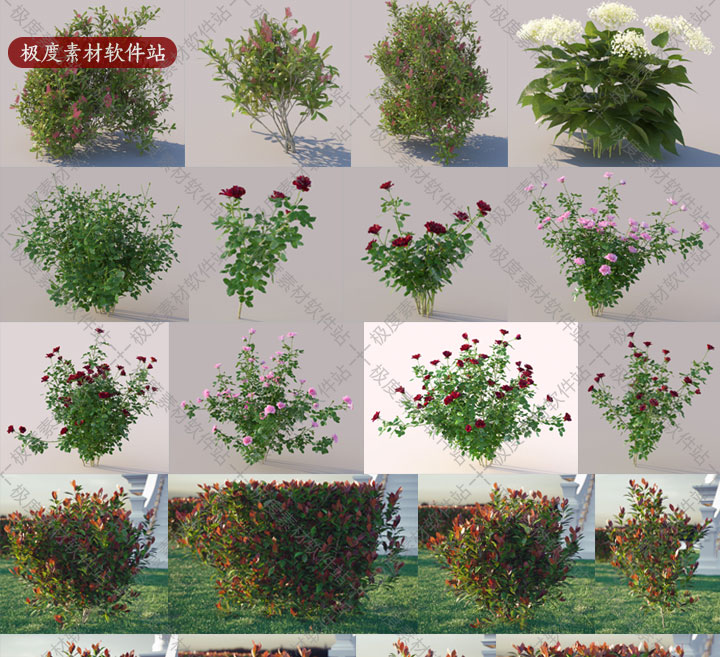 3dmax园林景观设计3D模型 3dsmax高精三维花草蕨类植物灌木素材库