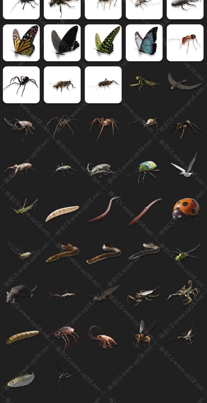 Blender高级动物昆虫类模拟插件 Geo-Swarm V2.0 +Assets