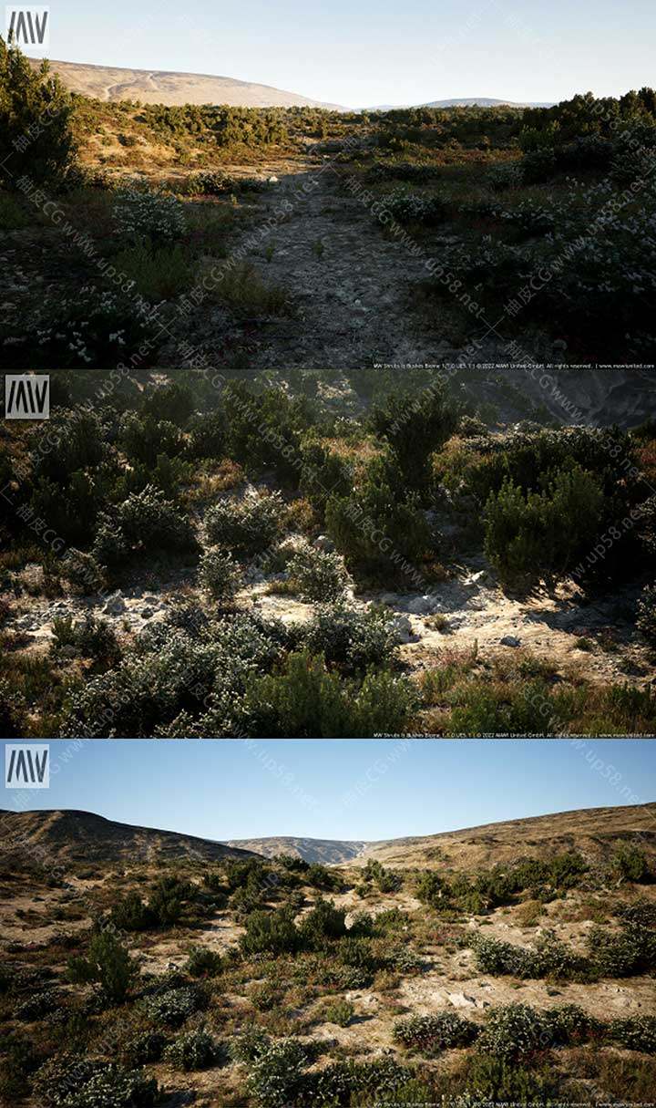 Unreal Engine高性能环境细节灌木丛插件MW Shrubs & Bushes Biome