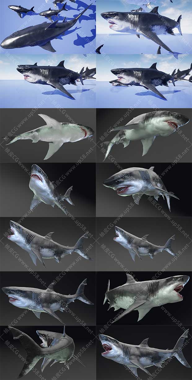 Unreal Engine海洋怪物系列动画 MEGALODON - Sea Monster Series 5 4.27