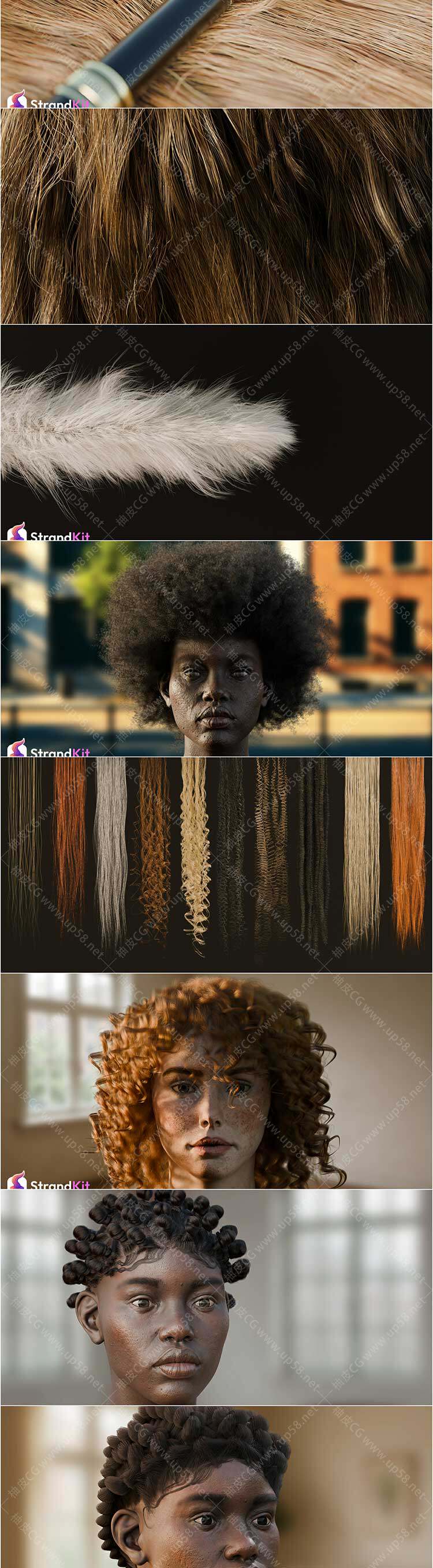 Blender专业创建逼真人类头发动物毛发效果及动力学模拟模块化资产库完整版(中文字幕教程)